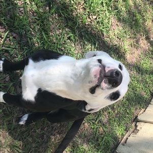 Meet your Posher, Grace